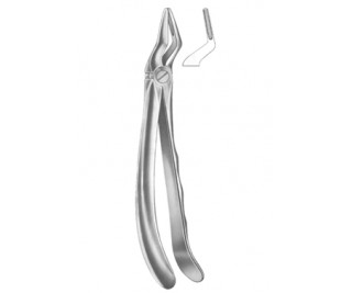 Relax Extracting Forceps
